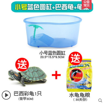 【小号蓝色圆缸+巴西龟+龟粮】乌龟缸带晒台养乌龟专用缸水陆缸