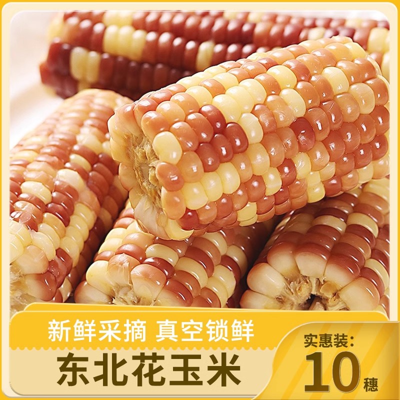 【大个头】东北鲜食糯玉米真空装250g*10根